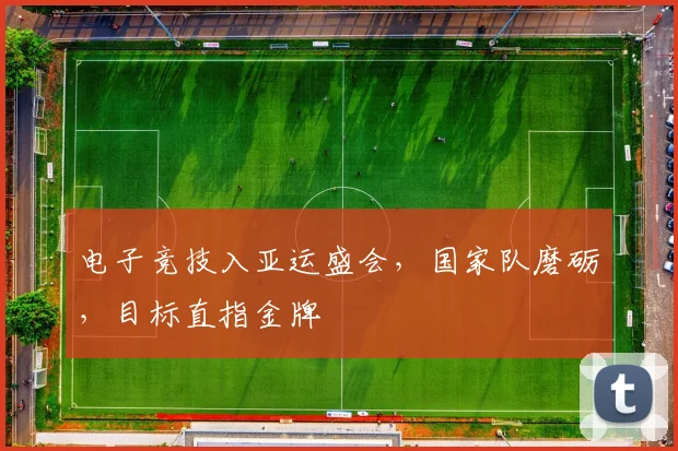 电子竞技入亚运盛会,国家队磨砺,目标直指金牌