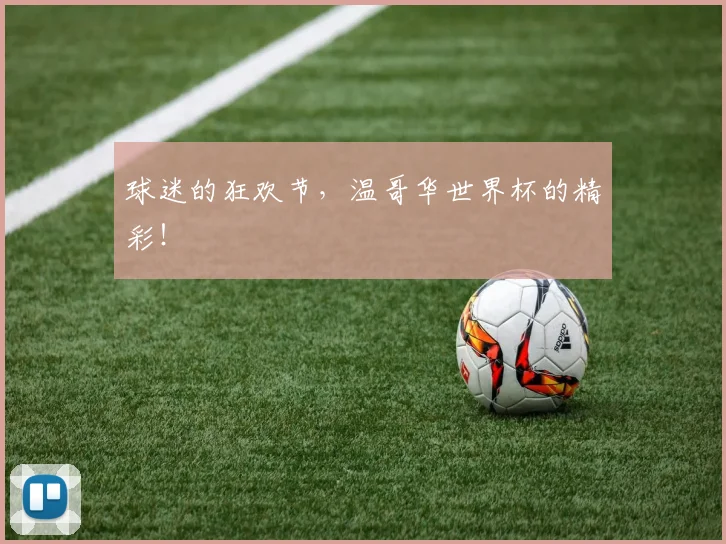 球迷的狂欢节,温哥华世界杯的精彩!