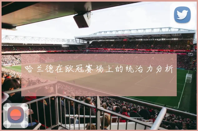 哈兰德在欧冠赛场上的统治力分析